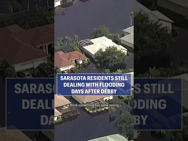 Sarasota residents deal with flooding after Debby #abcactionnews #florida #news #weather