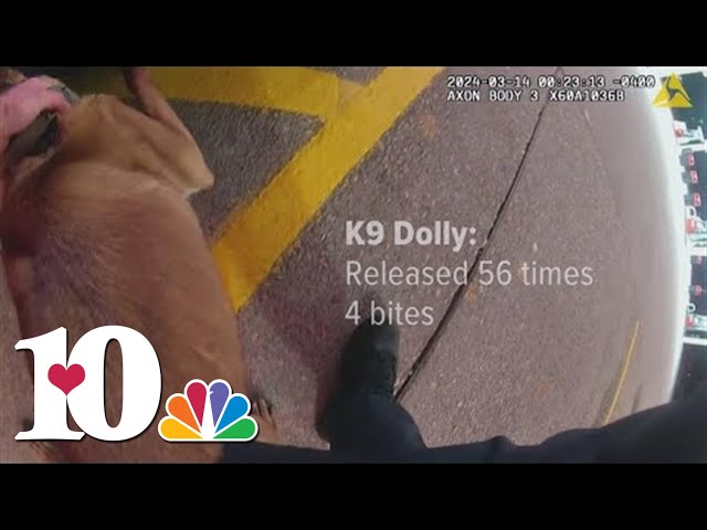 Use of force expert weighs in on Knox County body camera footage of K9 use