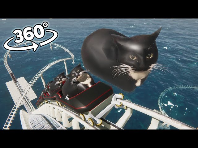 VR 360 Maxwell The Cat Roller Coaster!