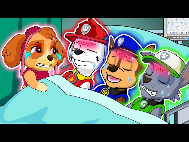 PAW Patrol Please Wake Up Them , SKYE is So SAD ? PAW Patrol Ultimate Rescue Missions | Rainbow 3