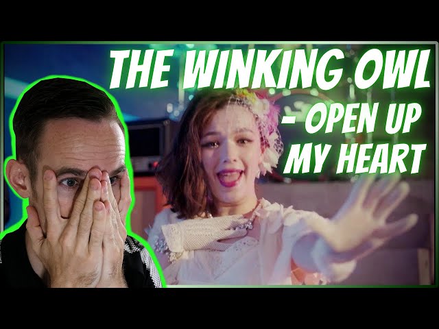 The Japanese PARAMORE??? | The Winking Owl - Open Up My Heart REACTION!!!