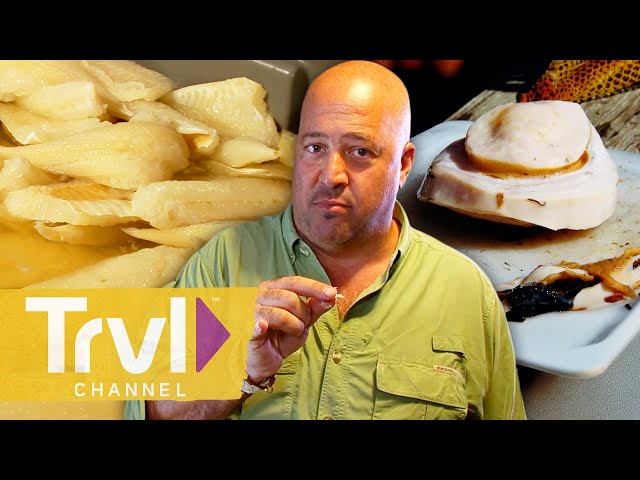 America’s Most BIZARRE Foods | Bizarre Foods with Andrew Zimmern | Travel Channel