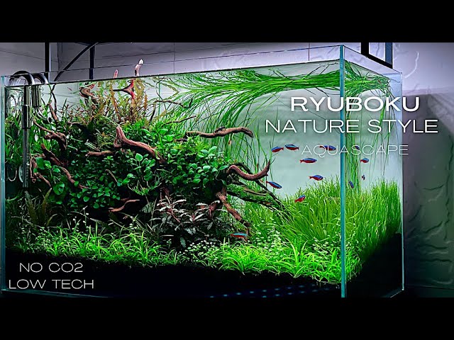 HOW TO MAKE A LOW TECH NO CO2 PLANTED AQUARIUM | STEP BY STEP AQUASCAPING TUTORIAL