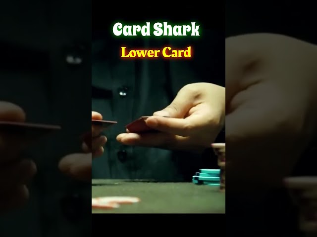 Card Shark 타짜 vs Magician