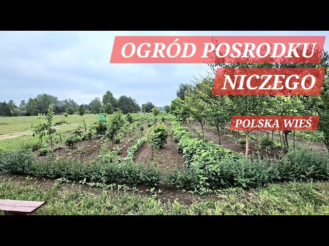 OGRÓD POSRODKU NICZEGO, COŚ UPADA COŚ POWSTAJE, POLSKA WIEŚ #polska #wieś