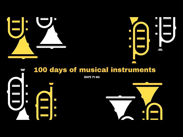 100 Days of Musical Instruments: 71-80