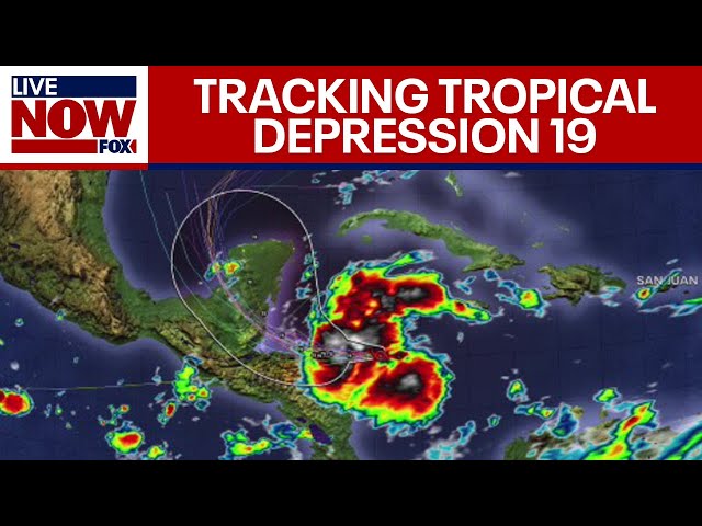 BREAKING: Tropical Depression Nineteen to become Tropical Storm Sara | LiveNOW from FOX