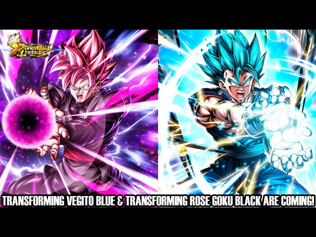 TRANSFORMING VEGITO BLUE & TRANSFORMING ROSE GOKU BLACK ARE COMING!!! Dragon Ball Legends Info!