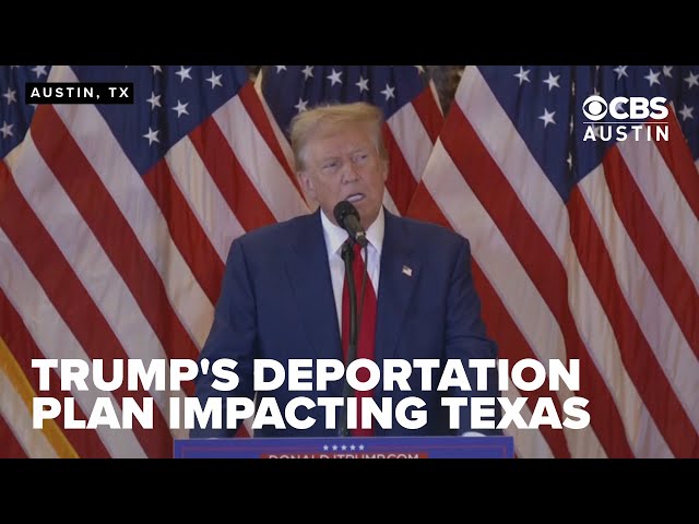 President-elect Trump's mass deportation plan comes into focus as his term approaches