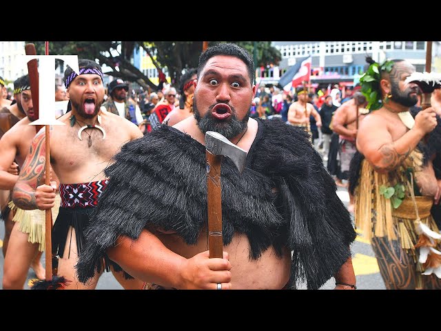 New Zealand protest: thousands march against bill on Maori rights