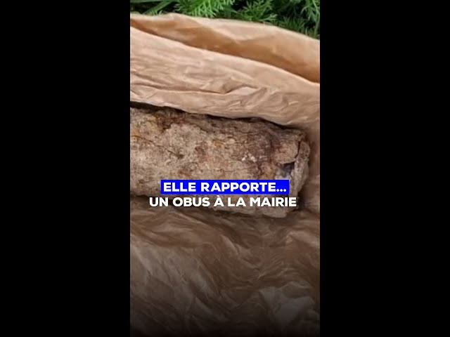 Elle rapporte un obus... à la mairie