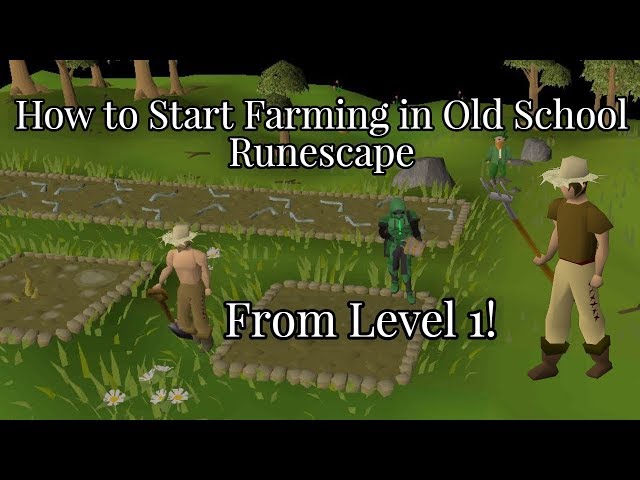 How to Start Farming In Old School Runescape (Guide for New Players)