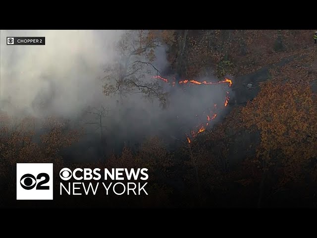 Brush fire burning in Highbridge Park along Harlem River Drive in NYC