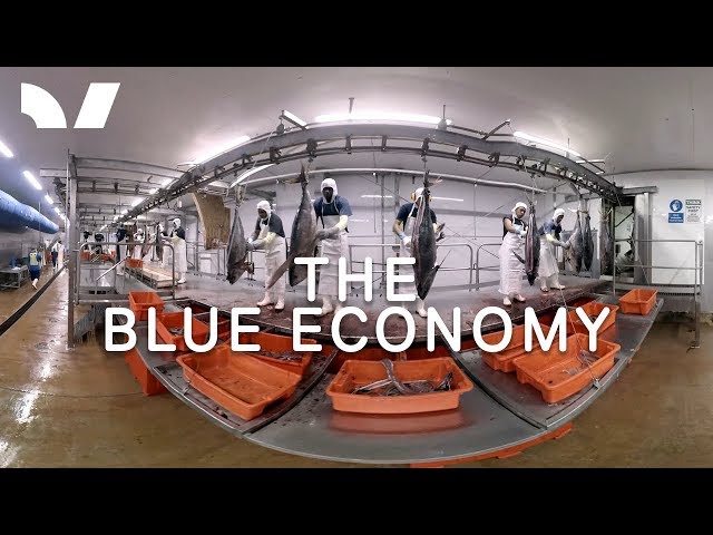 The Blue Economy - 360 Short Documentary