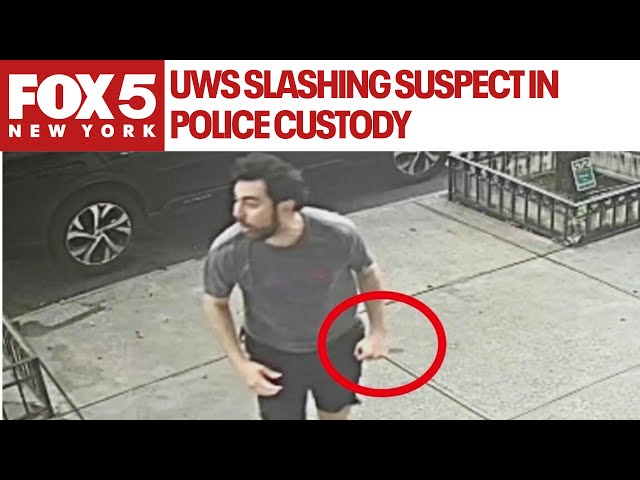 NYC slashing suspect in custody after apparent random attack on tourist