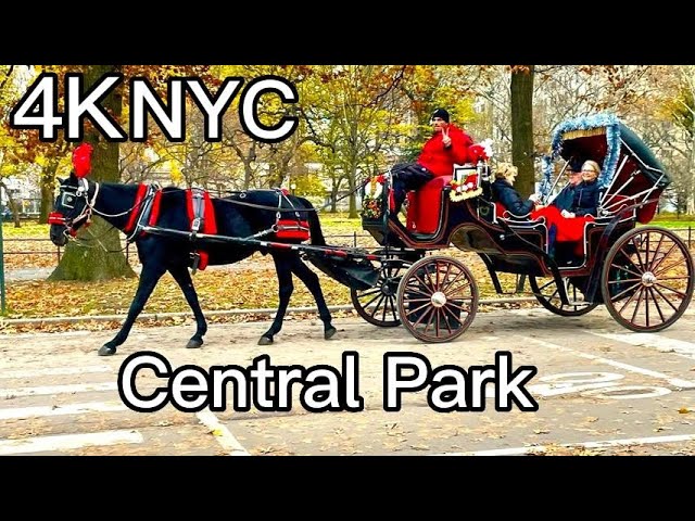 紐約必去景點 | 第一視角看中央公園 NYC Central Park | 1st Person Winter Walk with Sunset | Manhattan, NY, Travel