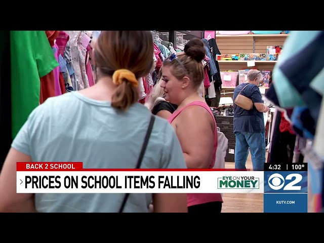 Back-to-school shopping: calculators are cheaper, school fees remain high