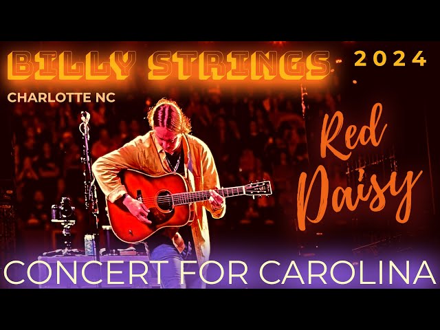 BILLY STRINGS Live 2024 |  RED DAISY | Concert For Carolina NC