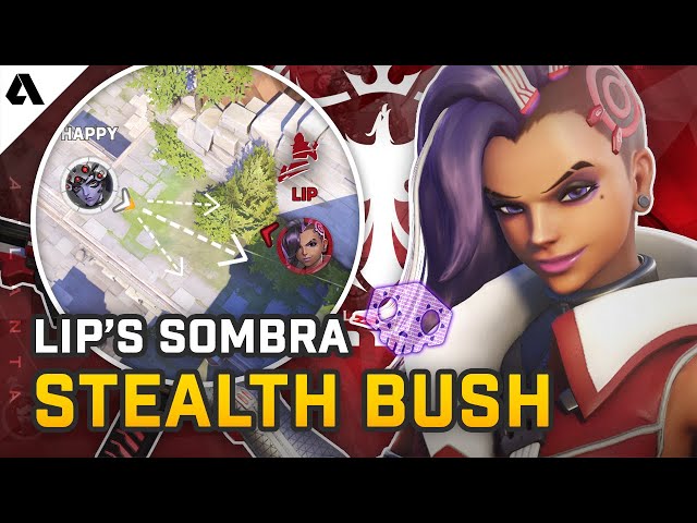 LIP's INSANE Sombra Stealth Bush - Pro Overwatch Micro Plays