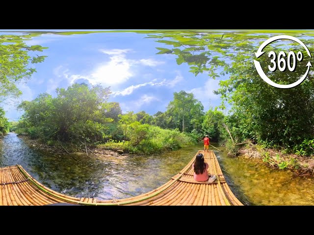 [VR360] The rafting site in Phang Nga ,Thailand By Komol's Corner Bamboo Rafting | Ambient Sound