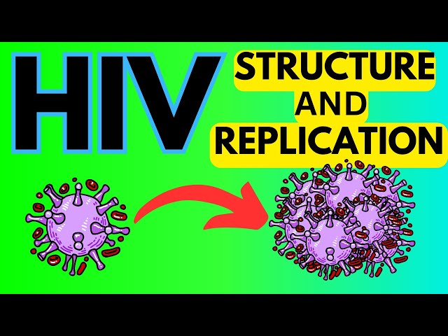 Mastering HIV: Simplified Explanation of Virus Structure and Replication