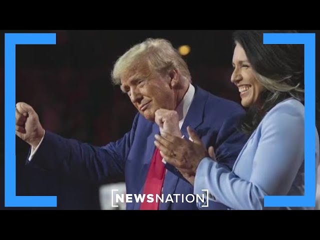 Gabbard’s controversial comments on Russia resurface after Trump nomination | Vargas Reports