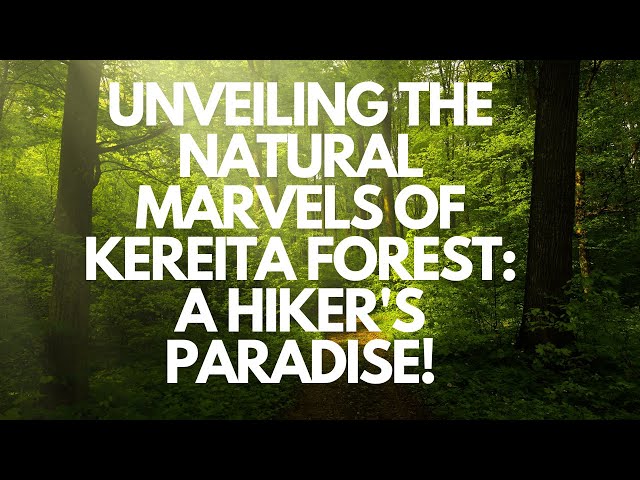 Exploring the Enchanting Trails of Kereita Forest | Uncover Nature's Hidden Gem