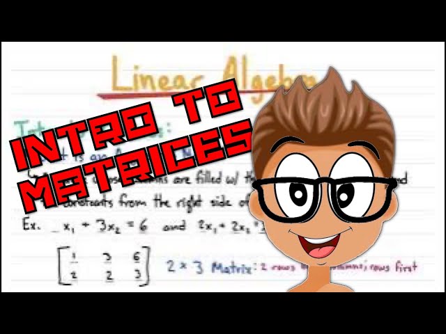 Introduction to Matrices | Linear Algebra