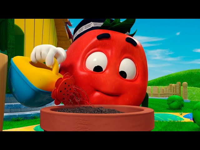 TOMATO DOPPI 🍅Garden And More Craziest Adventures 🌈 FOR KIDS