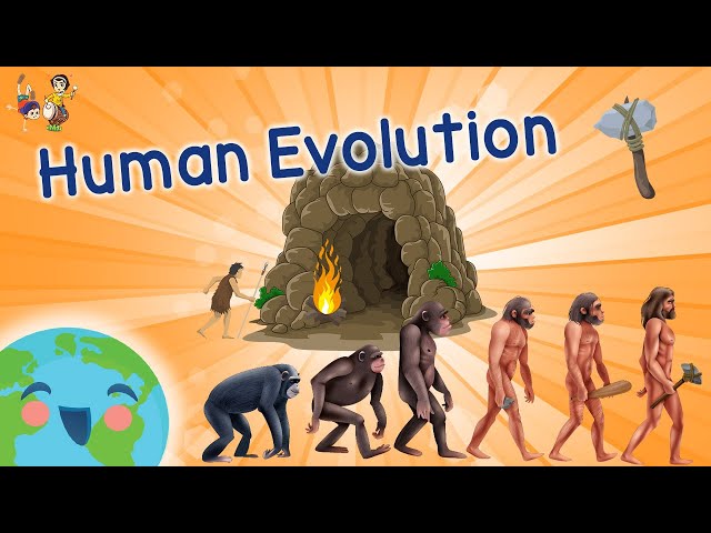 Human Evolution For Kids - Evolution Of Humans  (Learning Videos for Kids)