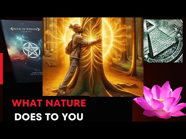 What Nature Does to You | Harry B Joseph | Book of Wisdom