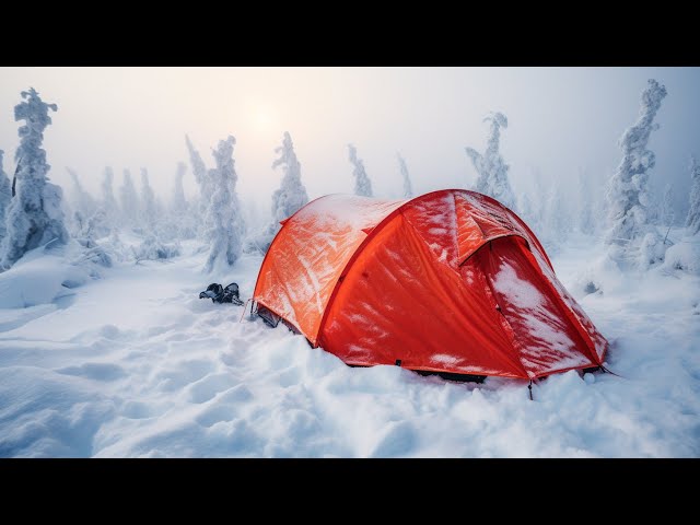 Surviving -4°F/-20°C  No Fire - Cold Tent -Winter Snow Camping in Freezing Temperatures, Hilleberg