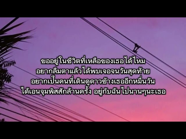 ดาวหางฮัลเลย์ - fellow fellow (official cover เนื้อเพลง)