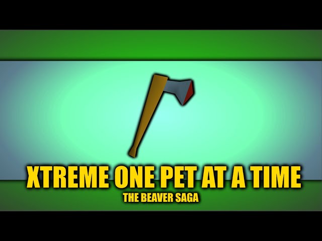 Xtreme One Pet At A Time #10 - I Am Become Chopper, Destroyer of Teaks