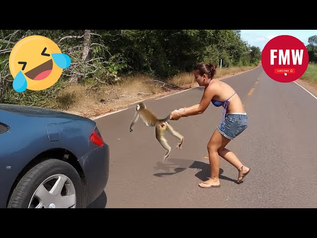 Funny & Hilarious People's Life 😂 #223 - Try not to Laugh | Instant Regret Fails Compilation 2024