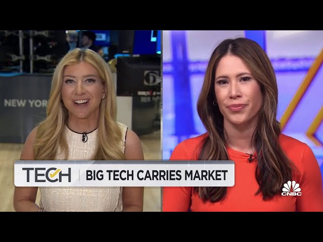 Big Tech carries market: Seven mega-caps drive rally