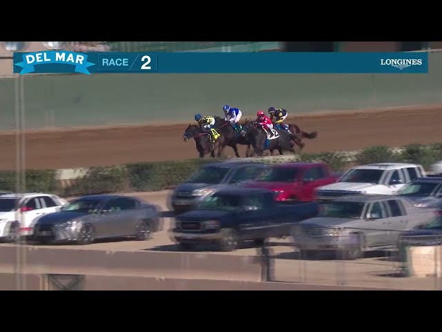 Practical Dream wins the Desi Arnaz Stakes race 2 at Del Mar 11/16/24