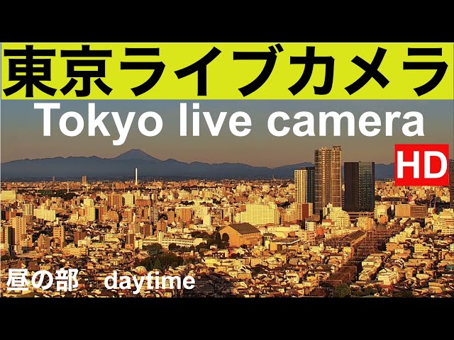 紅富士、TOKYO LIVE CAMERA ,東京ライブカメラ,  Línea Tokio,  Tokyo Line,  东京现场摄像,  도쿄 라이브 카메라