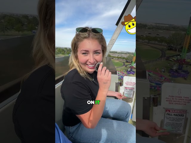 Can You Solve These Fair Riddles While Spinning on a Ferris Wheel? 🎡💡