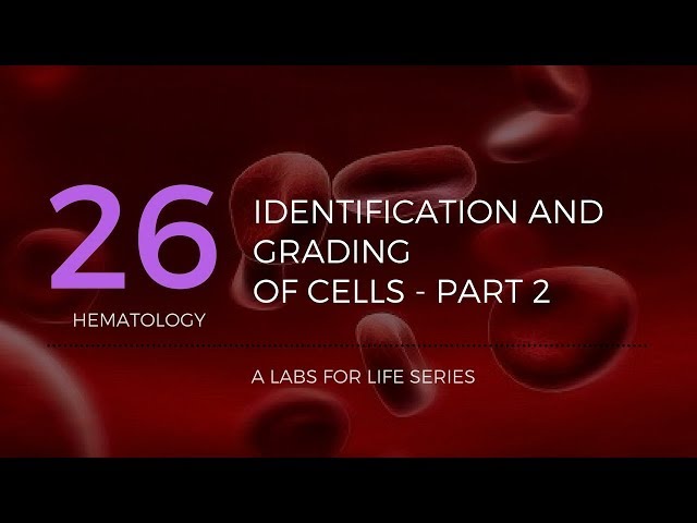 Part 3b -Identification and Grading of Cells on a PBS