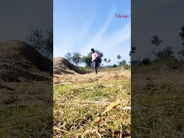 Stunt In Farms  🧑‍🌾😎🎶 #stuntsociety #trending #shorts #shortsfeed #shortsfeed #stunt