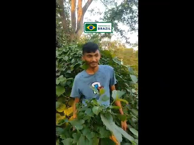 আর্জেন্টিনা vs ব্রাজিল || ARGENTINA VS BRAZIL|| FUNNY VIDEO IN 2024