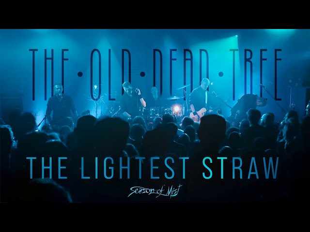 The Old Dead Tree - "The Lightest Straw" (Official Music Video)