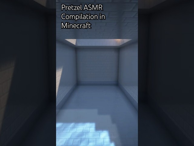 Pretzel ASMR compilation in Minecraft #funnyasmr #minecraftasmr