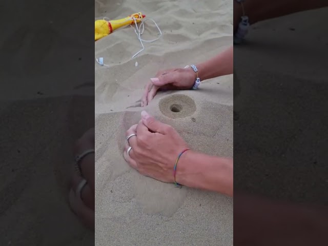 #JasonDeruloTV //Beach Lifehack #GotPermissionToPost From @condsty #HandsOnMe