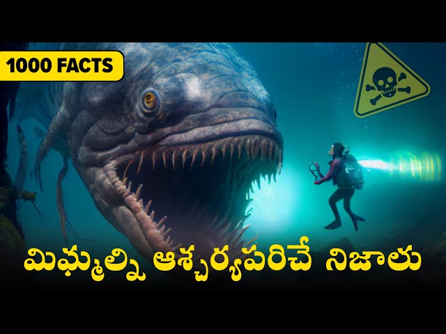 Top 1000 Interesting Facts In Telugu - Facts Forever