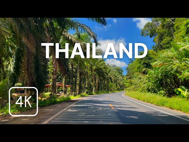 Thailand 4K - Driving on Tropical Roads - Scenic Drive 🇹🇭