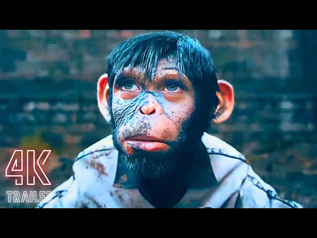 BETTER MAN Official Trailer 2 2024 | Robbie Williams | 4K UHD