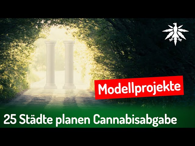 25 Städte planen Cannabisabgabe | DHV-News # 432