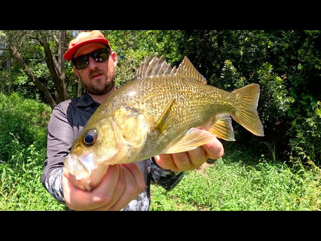 Australian BASS Fishing